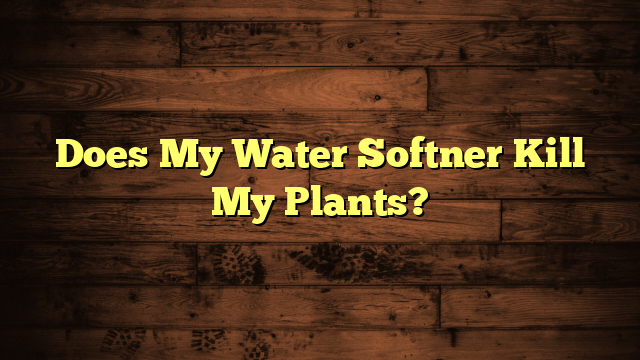 Does My Water Softner Kill My Plants?