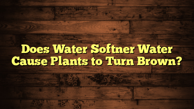 Does Water Softner Water Cause Plants to Turn Brown?