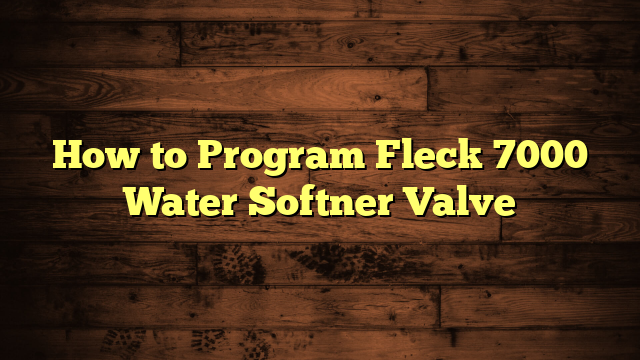 How to Program Fleck 7000 Water Softner Valve