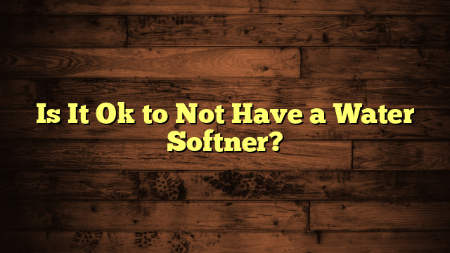 Is It Ok to Not Have a Water Softner?