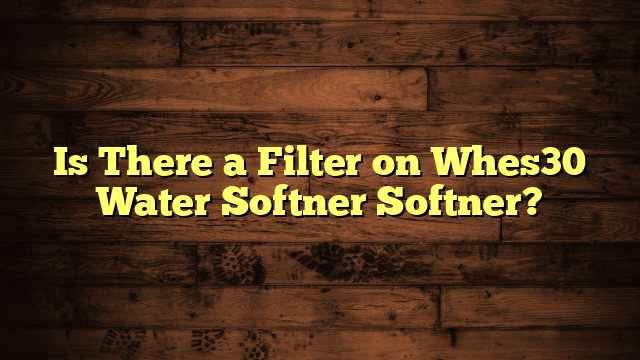 Is There a Filter on Whes30 Water Softner Softner?