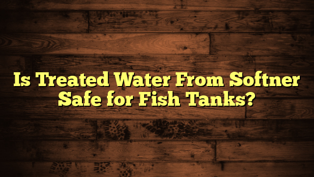 Is Treated Water From Softner Safe for Fish Tanks?