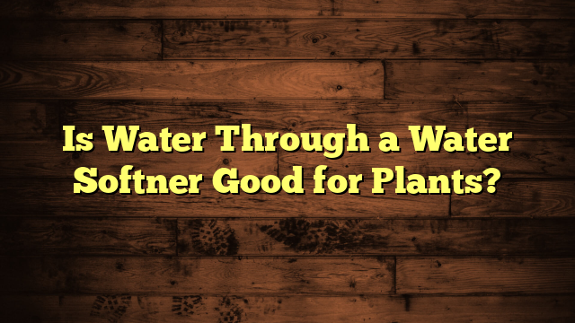 Is Water Through a Water Softner Good for Plants?