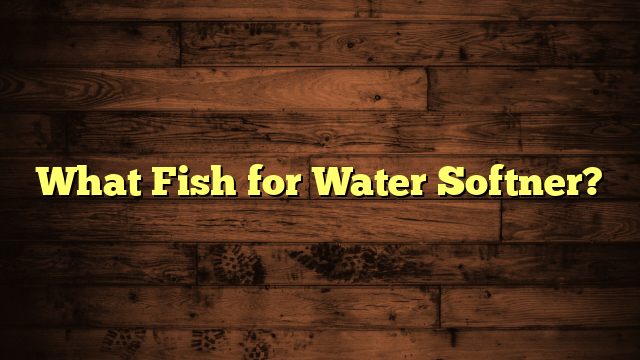What Fish for Water Softner?
