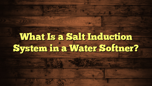 What Is a Salt Induction System in a Water Softner?