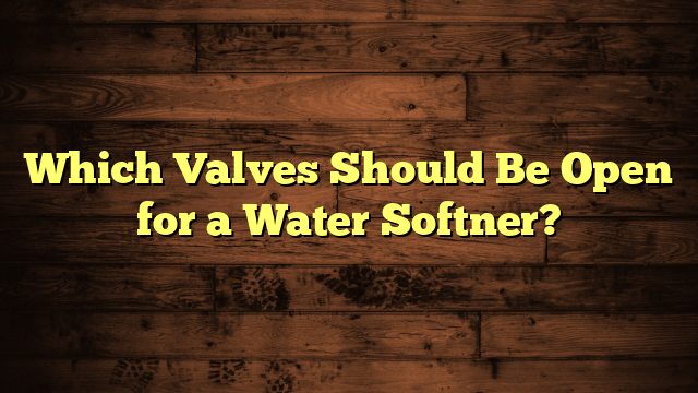 Which Valves Should Be Open for a Water Softner?