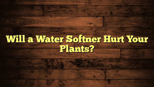 Will a Water Softner Hurt Your Plants?