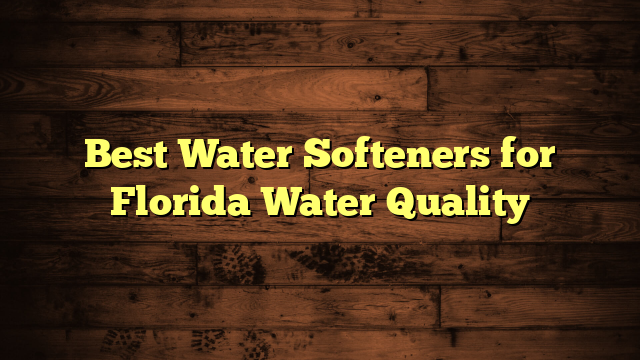 Best Water Softeners for Florida Water Quality