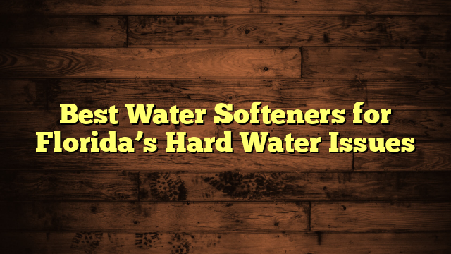 Best Water Softeners for Florida’s Hard Water Issues