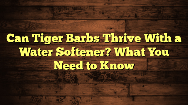 Can Tiger Barbs Thrive With a Water Softener? What You Need to Know