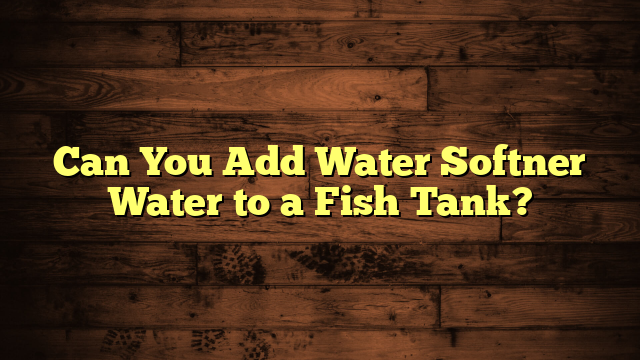 Can You Add Water Softner Water to a Fish Tank?