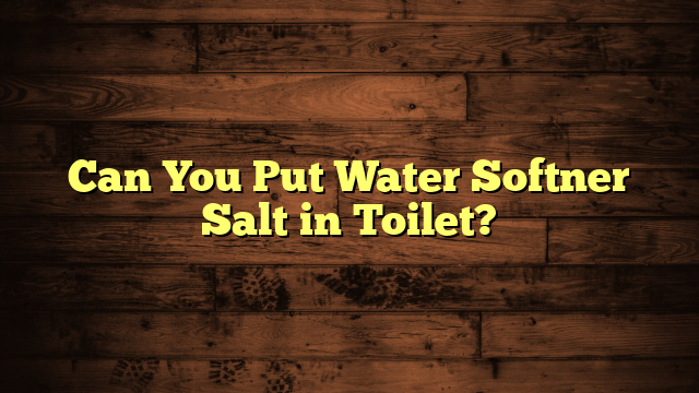 Can You Put Water Softner Salt in Toilet?