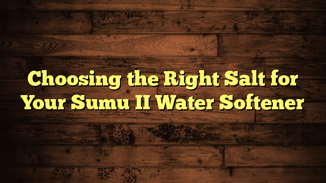 Choosing the Right Salt for Your Sumu II Water Softener