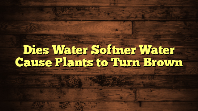 Dies Water Softner Water Cause Plants to Turn Brown