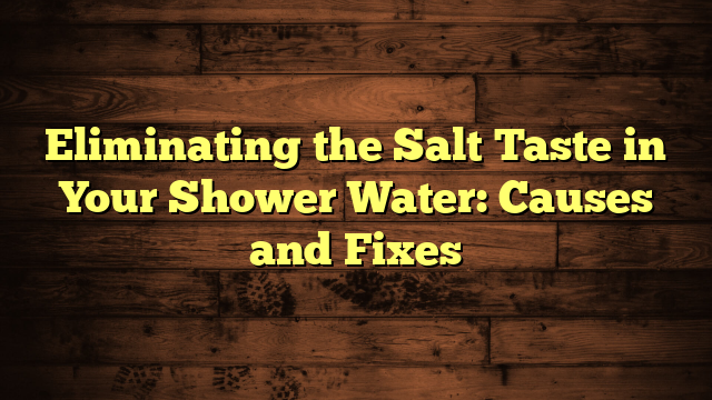 Eliminating the Salt Taste in Your Shower Water: Causes and Fixes