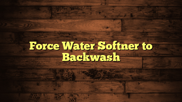 Force Water Softner to Backwash