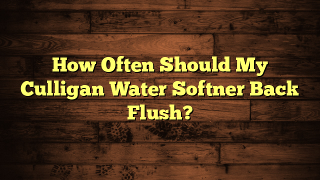 How Often Should My Culligan Water Softner Back Flush?