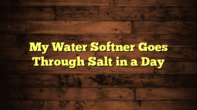 My Water Softner Goes Through Salt in a Day