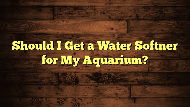 Should I Get a Water Softner for My Aquarium?