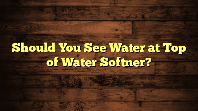 Should You See Water at Top of Water Softner?